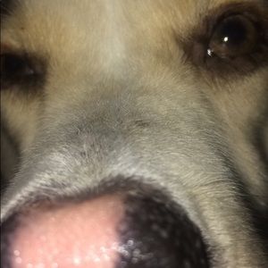 Meet your Posher, Gail